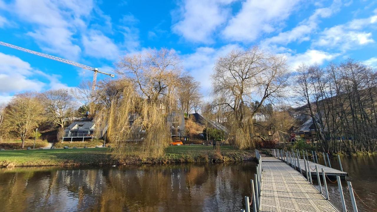 Le Salmoyard, Studio Au Bord Du Lac A Vielsalm Bagian luar foto
