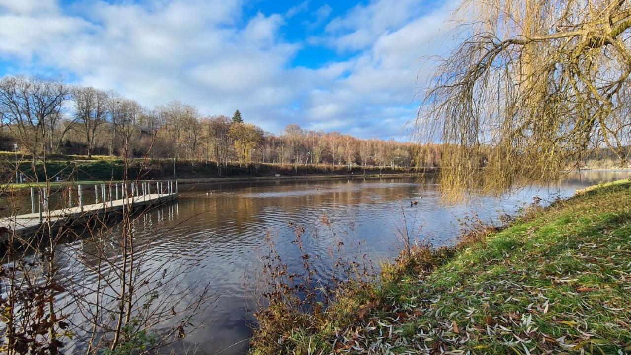 Le Salmoyard, Studio Au Bord Du Lac A Vielsalm Bagian luar foto